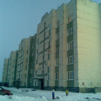 Яльгелево, дом 46