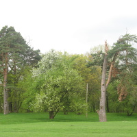 парк Носелицький