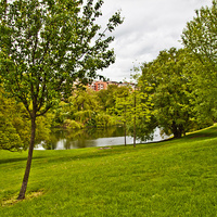 Парк на улице Паточкова