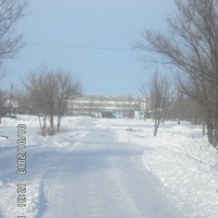 семеновская школа