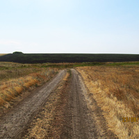 Дорога через поле