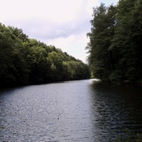 Озеро Hammerwoog