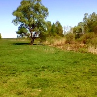 Перепис Болото Гребля