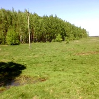 Перепис Полянский Лес