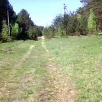 Перепис Полянский Лес