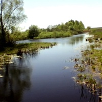 Перепис Болото Гребля