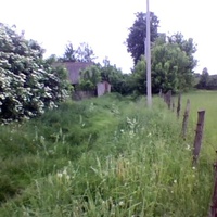 Перепис   у. Белановка