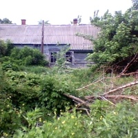 Перепис   у.  Белановка.