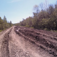 Вот такая дорога в деревне Чураки свердловской обл. тугулымского района.