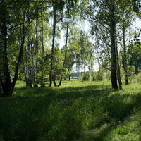 Карповский лес