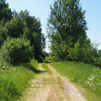 Дорога в сторону д. Богутичи (урочище Дертное)