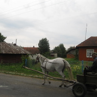 Село