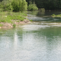 Река Шингарка