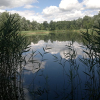 Андреево-Ивановка. Лесное озеро.