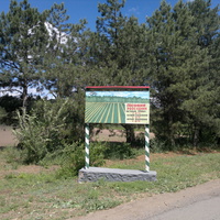 Андреево-Ивановка. Лесной рассадник.