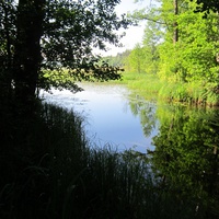 Устье озера Братилово