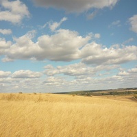 Новокалмашево