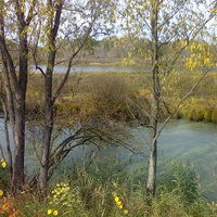 Телешовка. Вид через р.Гороховатку на озера.