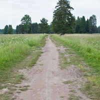 Дорога в парке