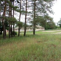 Лес возле школы (Житловка)