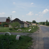 Полянка, улица Свободы