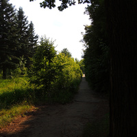 Тротуар на Дачной