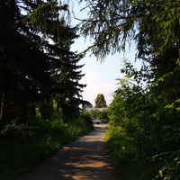 Парковая аллея в Щурове