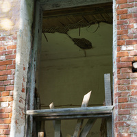 Усадебный дом Максимилиана Карловича фон Мекк, окно в доме