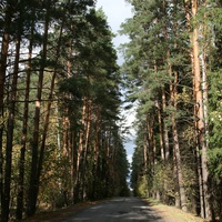 Дорога в Поливаново