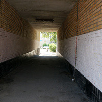 В арке дома по Андропова