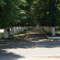 Тротуар на проспекте Победы