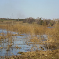 речка Сердяжка. апрель2008г
