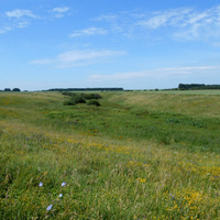 Панорама на орешник и Архаровскую посадку