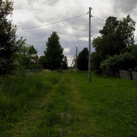 деревня Козицыно июнь 2013 г.