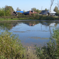 сельский  пруд, 2012 г.