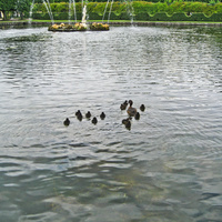 Верхний парк