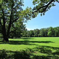 Екатерининский парк