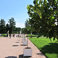 Екатерининский парк