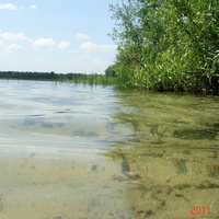 Озеро Дошно