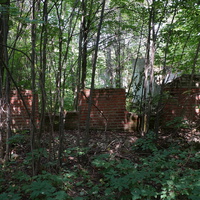 Заброшенное строение (бывшая территория усадьбы Шаховских, позже пионерского лагеря)