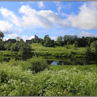 Ждущий хозяина