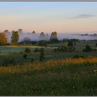 Луг у речки утром