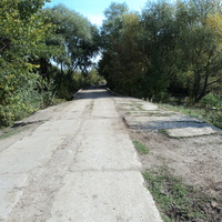 Старая дорога на бывший питомник (Житловка)