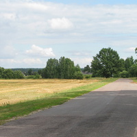 Дорога в деревню со стороны д . Защебье