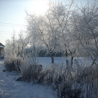 зима в ленковцах