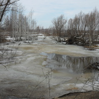 Бобровая заводь близ Терентеево