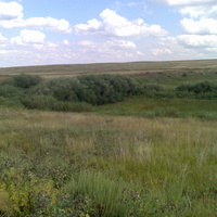 Саратовка ,высохшее озеро на Шестой.