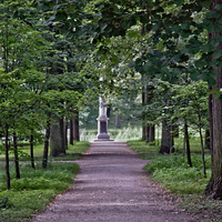 Дорожка в парке