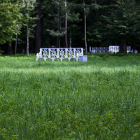 В Екатерининском парке