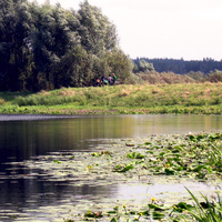 Рембрандтовский пейзаж. 2007 г.